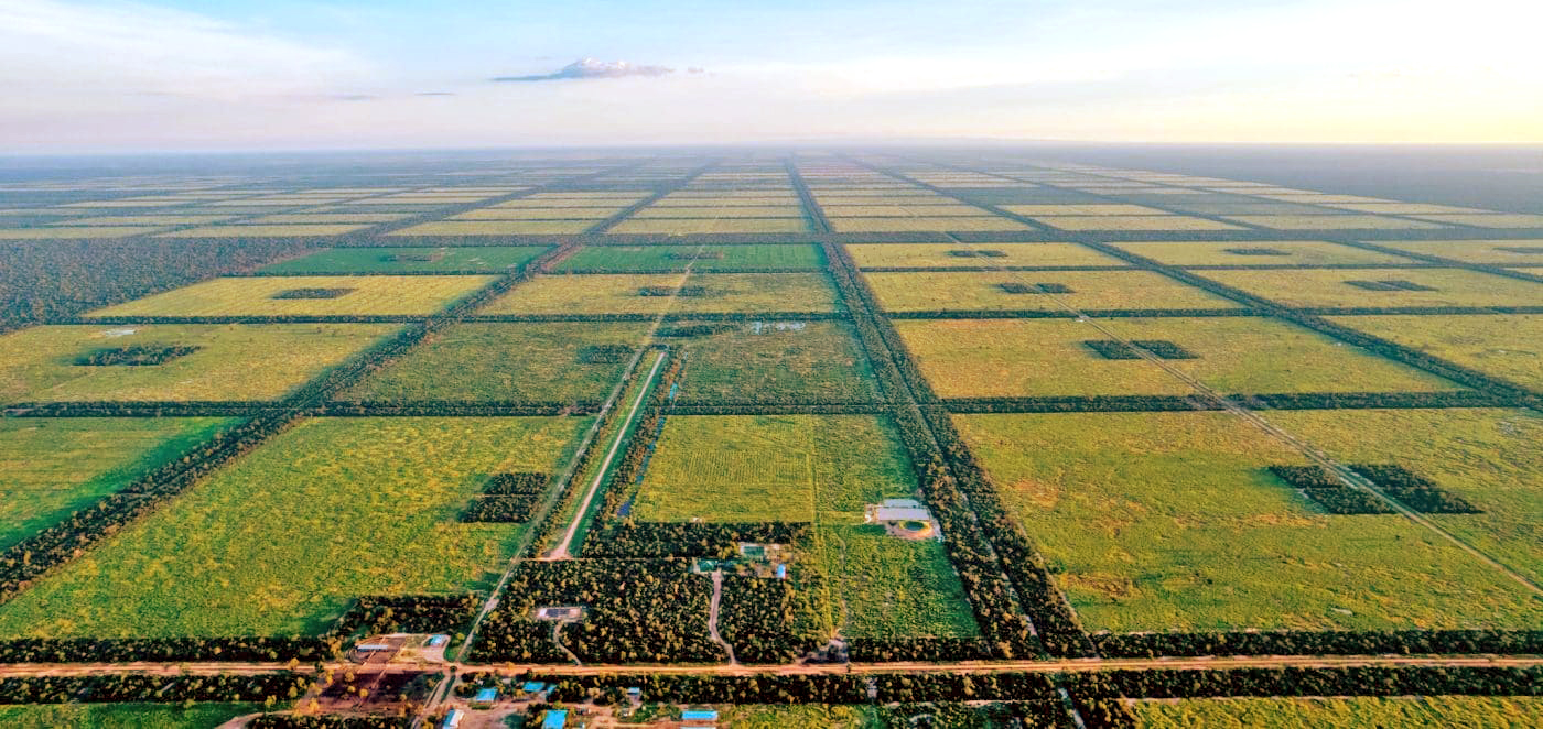 Estancia en el Chaco paraguayo se puso a la venta por US 90